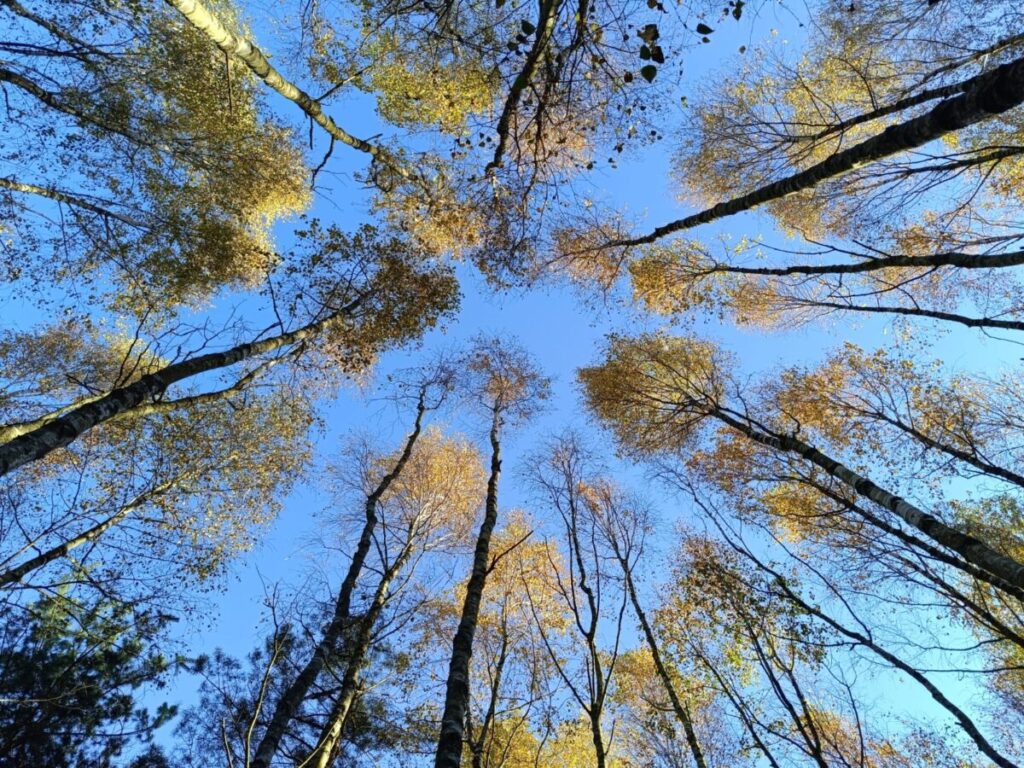 Ekologiczne ABC. Rozstrzygnięto VI edycję konkursu fotograficznego Jurajska przyroda w obiektywie [foto] 7