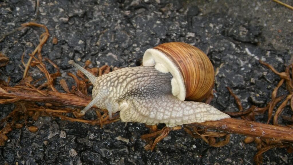 Ekologiczne ABC. Rozstrzygnięto VI edycję konkursu fotograficznego Jurajska przyroda w obiektywie [foto] 22