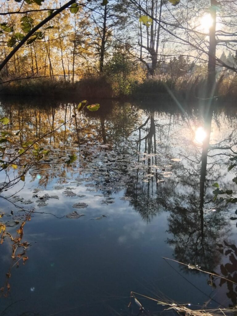 Ekologiczne ABC. Rozstrzygnięto VI edycję konkursu fotograficznego Jurajska przyroda w obiektywie [foto] 25
