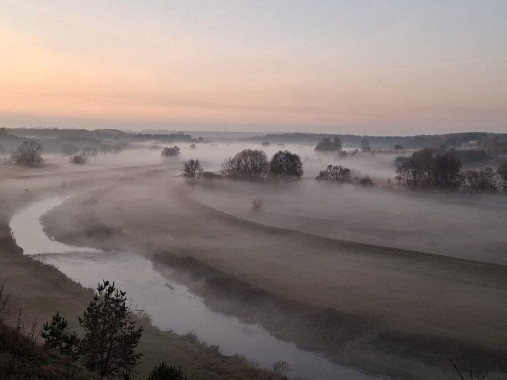 Ekologiczne ABC. Rozstrzygnięto VI edycję konkursu fotograficznego Jurajska przyroda w obiektywie [foto] 13