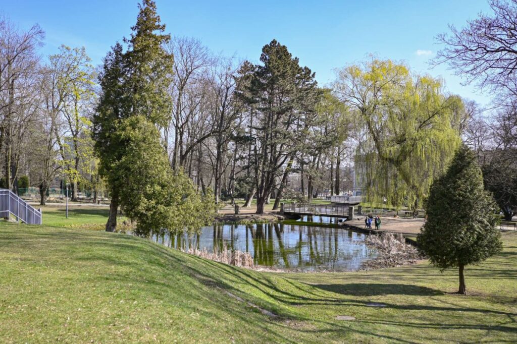 Wiosenne porządki w Parku Staszica 3