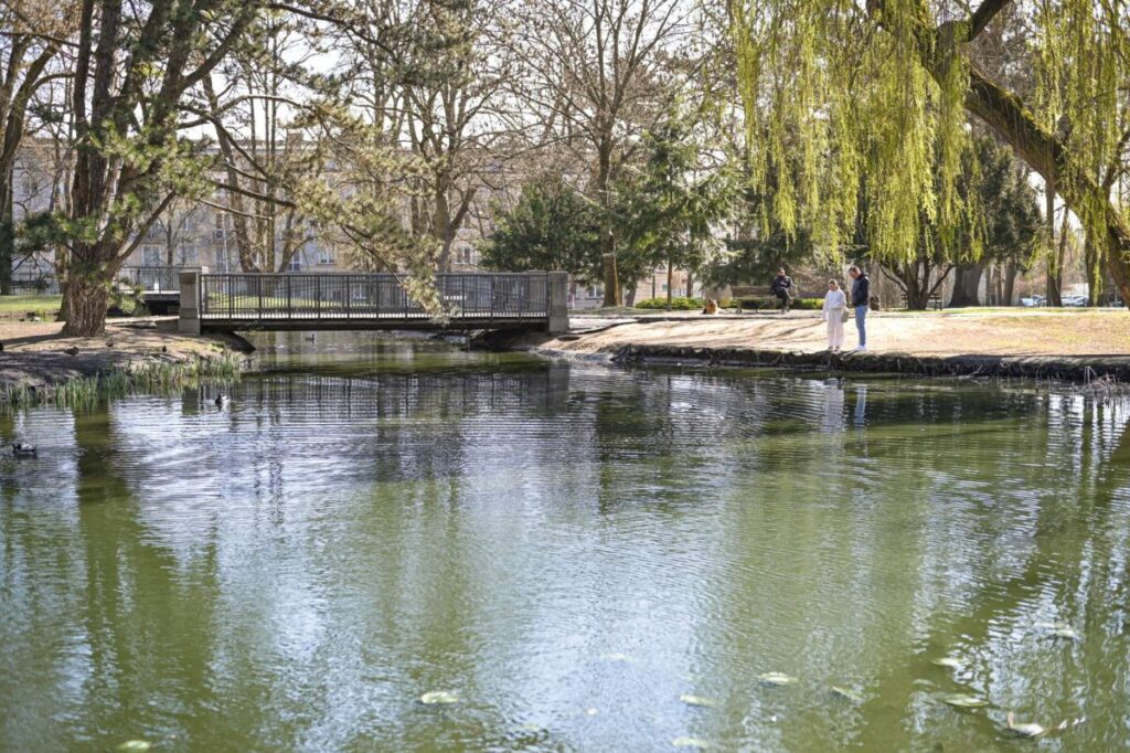 Wiosenne porządki w Parku Staszica 4