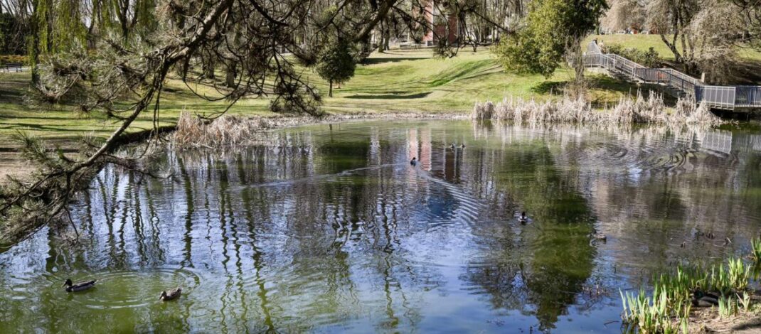 Wiosenne porządki w Parku Staszica