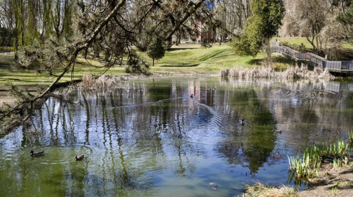 Wiosenne porządki w Parku Staszica 1