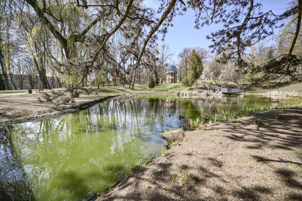Wiosenne porządki w Parku Staszica 2