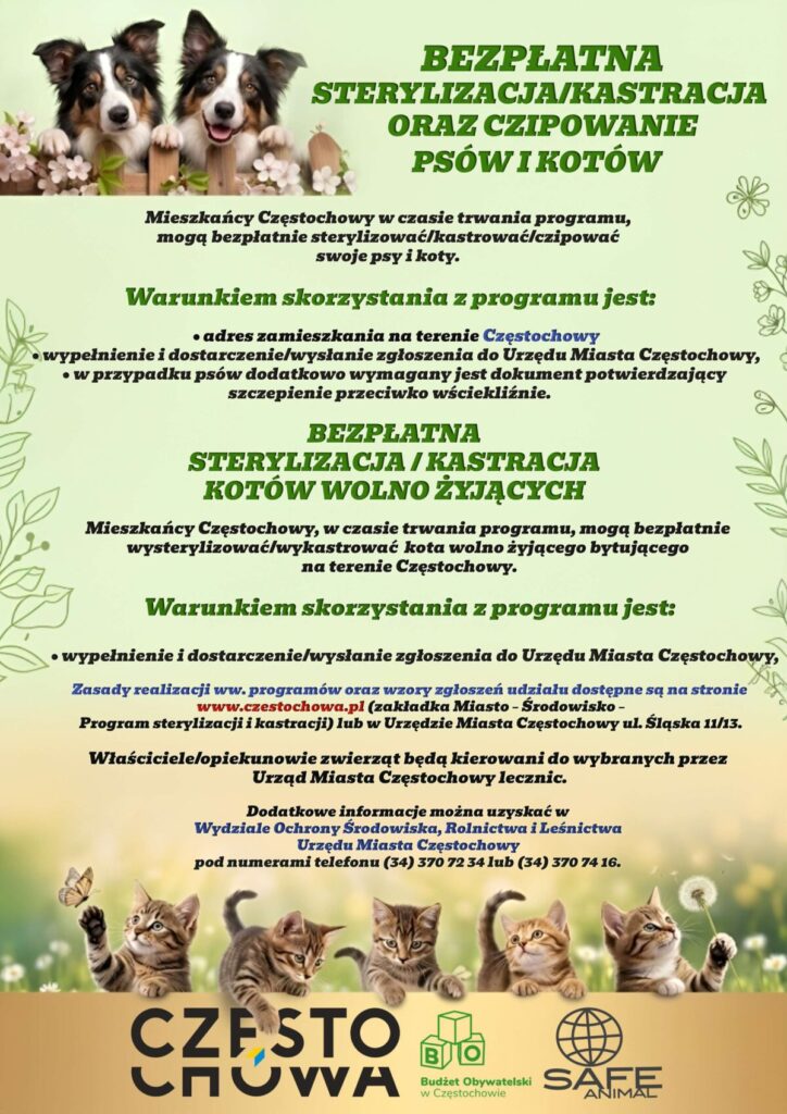 Czipowanie, sterylizacja i kastracja psów i kotów - już wkrótce rusza miejski program! 2