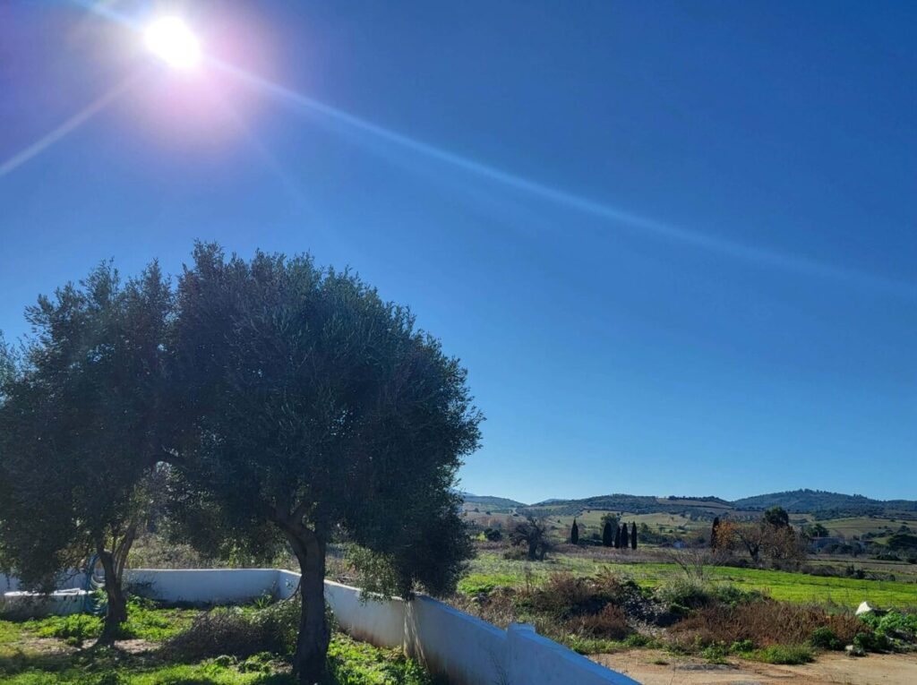 Pomysł na najbliższe wakacje na wyspie Evia i stabilną lokatę kapitału? Dom z dwoma niezależnymi apartamentami czeka na nowych właścicieli 4