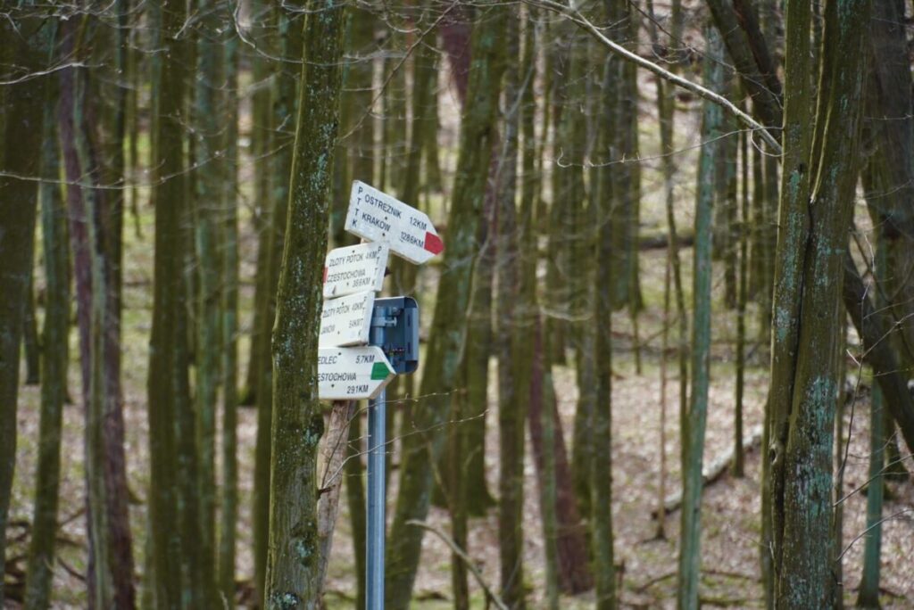Ekologiczne ABC. Rezerwat Parkowe – idealne miejsce na wiosenne spacery [fotorelacja] 1