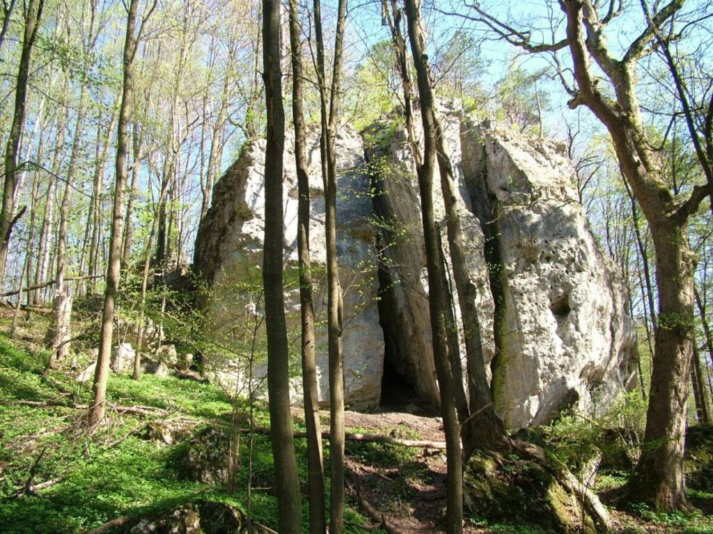 Ekologiczne ABC. Rezerwat Parkowe – idealne miejsce na wiosenne spacery [fotorelacja] 40