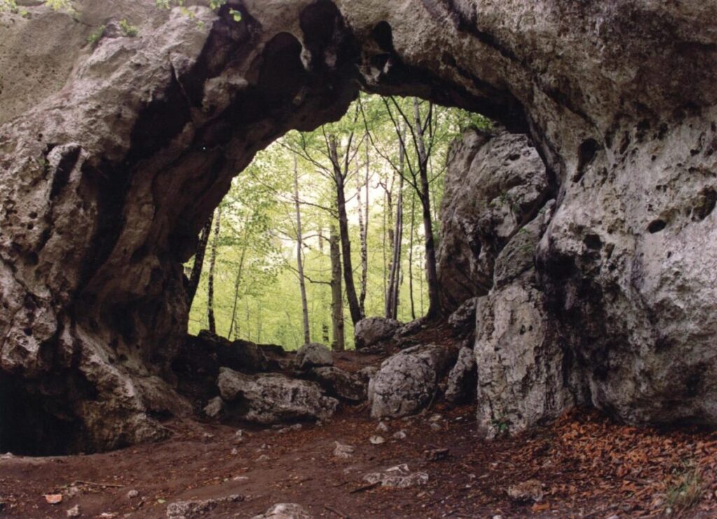 Ekologiczne ABC. Rezerwat Parkowe – idealne miejsce na wiosenne spacery [fotorelacja] 43