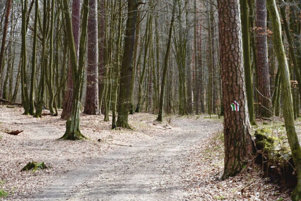 Ekologiczne ABC. Rezerwat Parkowe – idealne miejsce na wiosenne spacery [fotorelacja] 10