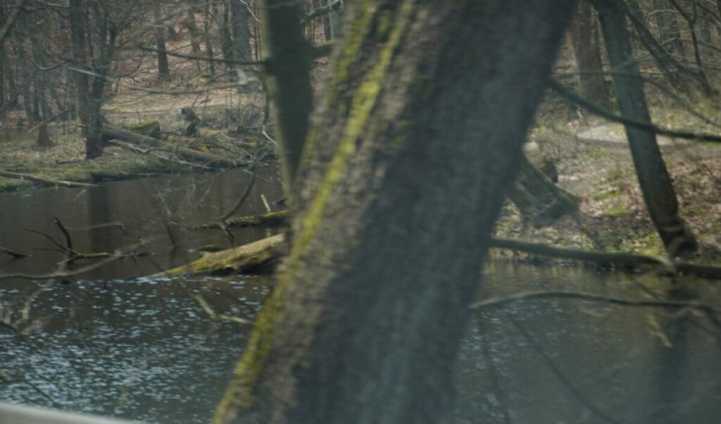 Ekologiczne ABC. Rezerwat Parkowe – idealne miejsce na wiosenne spacery [fotorelacja] 22