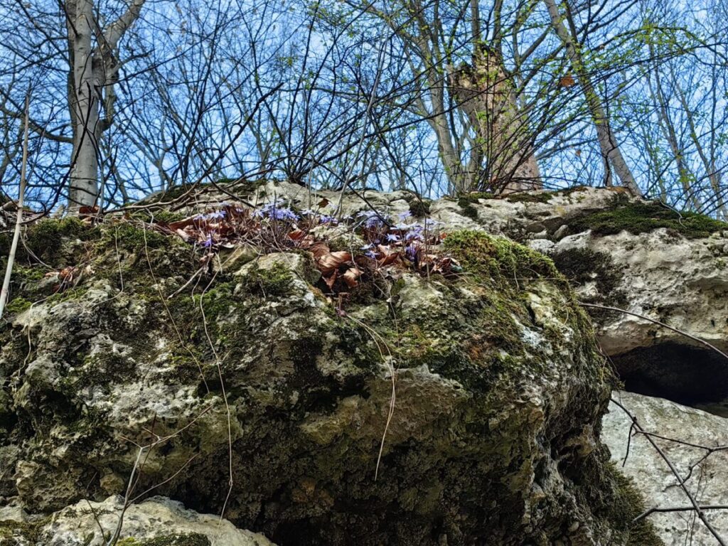 Ekologiczne ABC. Rezerwat Parkowe – idealne miejsce na wiosenne spacery [fotorelacja] 28