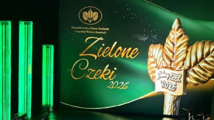 zielone czeki
