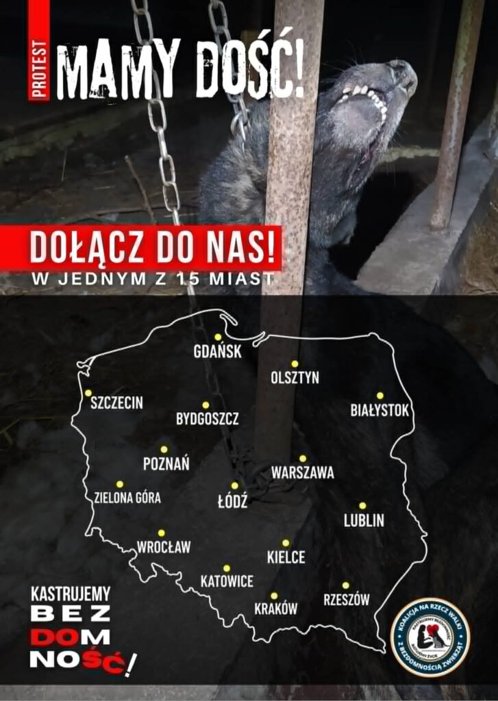 Sobotni protest STOP CIERPIENIU ZWIERZĄT! MAMY DOŚĆ! Dołącz i Ty! 1