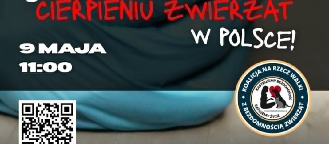 Sobotni protest STOP CIERPIENIU ZWIERZĄT! MAMY DOŚĆ! Dołącz i Ty!