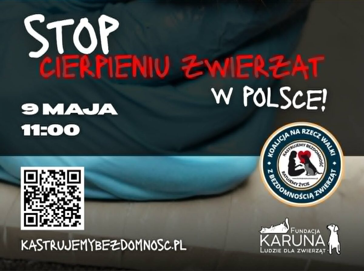 Sobotni protest STOP CIERPIENIU ZWIERZĄT! MAMY DOŚĆ! Dołącz i Ty!
