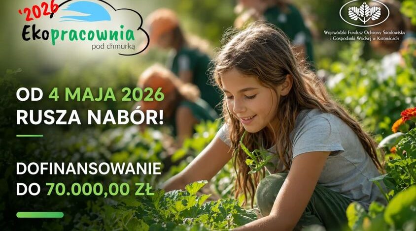 Ekologiczne ABC. Wystartował konkurs Ekopracownia pod chmurką edycja 2026