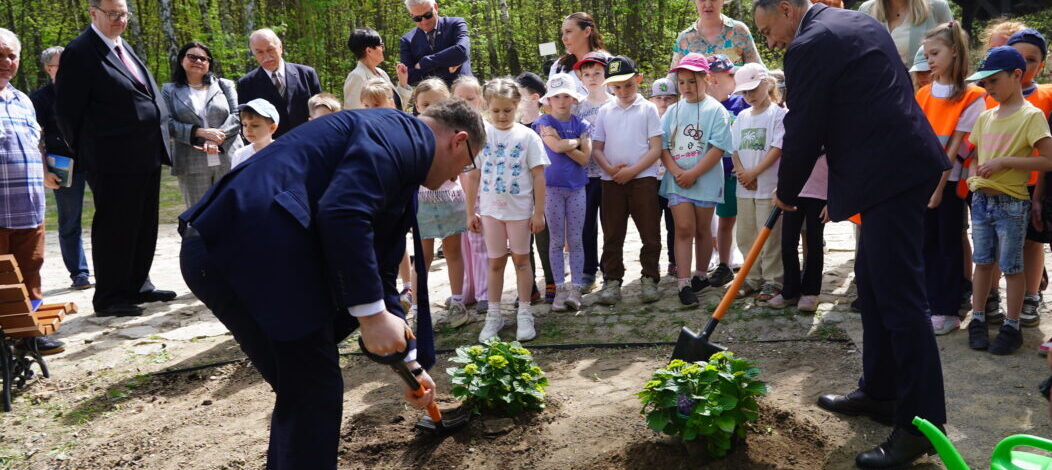 Ekologiczne ABC. Nowa „Zielona przestrzeń” w jurajskim Olsztynie [wideo]