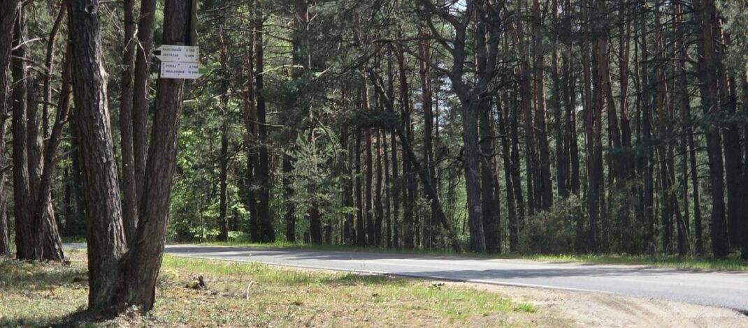 Zaborze – ruszyła przebudowa ul. Olsztyńskiej.