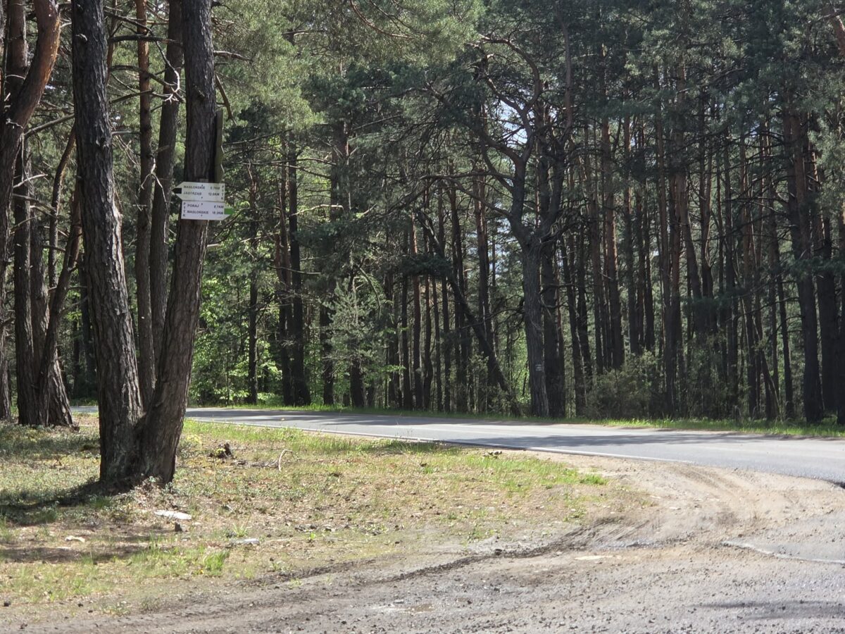 Zaborze – ruszyła przebudowa ul. Olsztyńskiej.