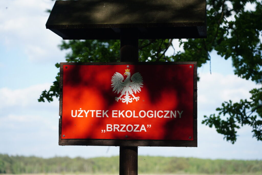 Ekologiczne ABC. Użytek ekologiczny Brzoza w gminie Kochanowice – spacer śladami natury [fotorelacja] 19