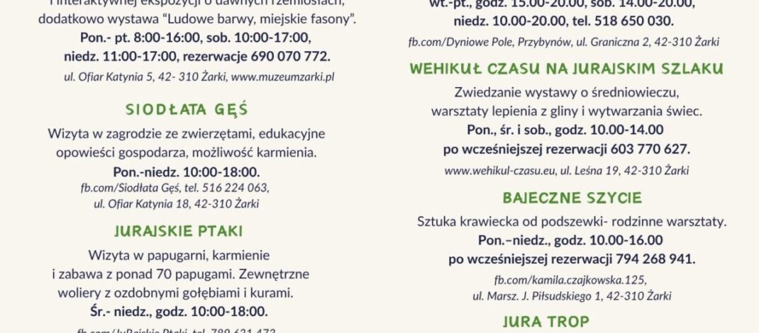 Wakacje 2026 w gminie Żarki, czyli lato pełne atrakcji!