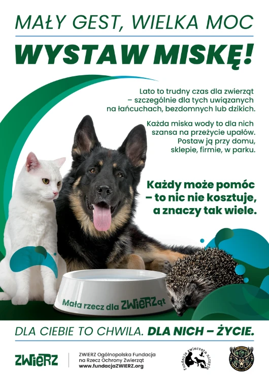 Mały gest ma wielką moc – wystaw miskę z wodą!