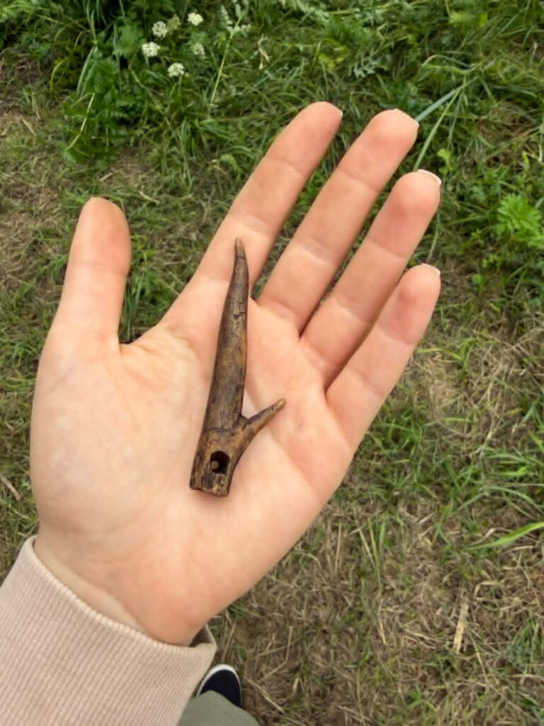 Archeolodzy odkrywają tajemnice Przewodziszowic. Pierwsze takie wykopaliska w historii! 10