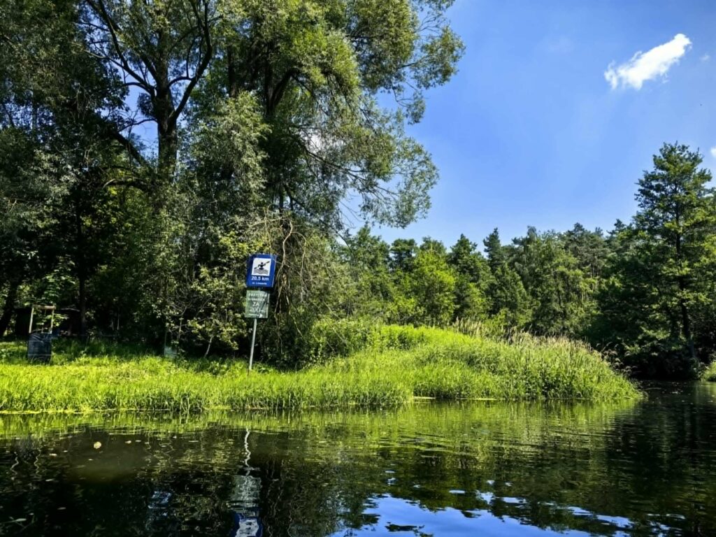 Ekologiczne ABC. Liswarta – malownicza rzeka, którą warto poznać [fotorelacja] 11