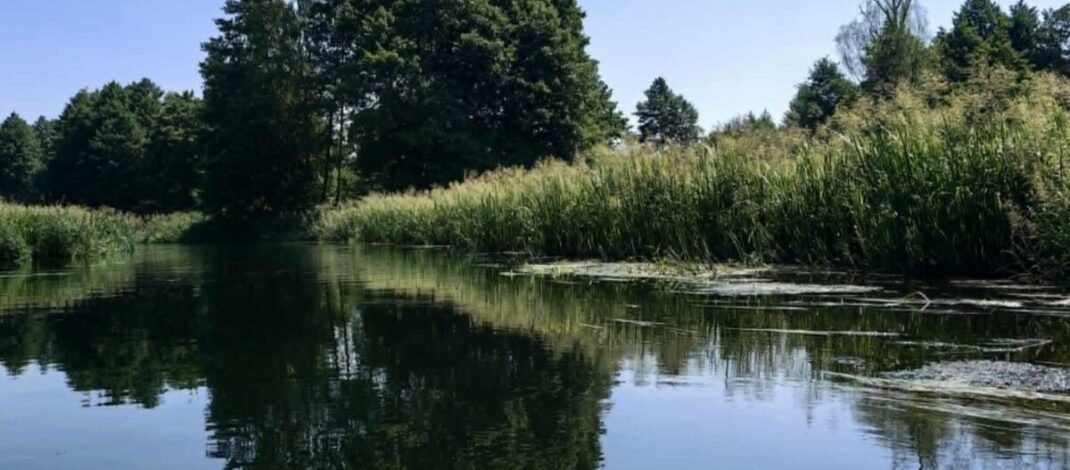 Ekologiczne ABC. Liswarta – malownicza rzeka, którą warto poznać [fotorelacja]