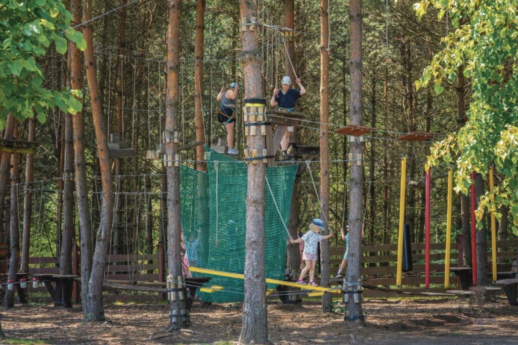 Udane i pełne przygód urodziny? Jeśli tak, to tylko w Parku Korzonek! 2
