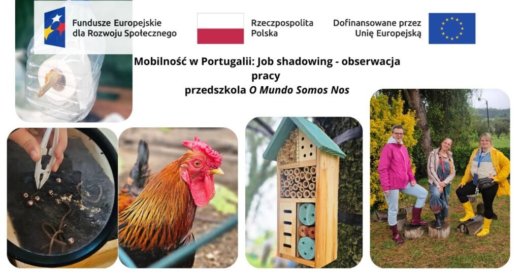 Do Portugalii! 2