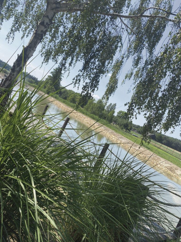 Ranczo Zagata – rodzinne miejsce pełne natury, relaksu i dobrej zabawy 3