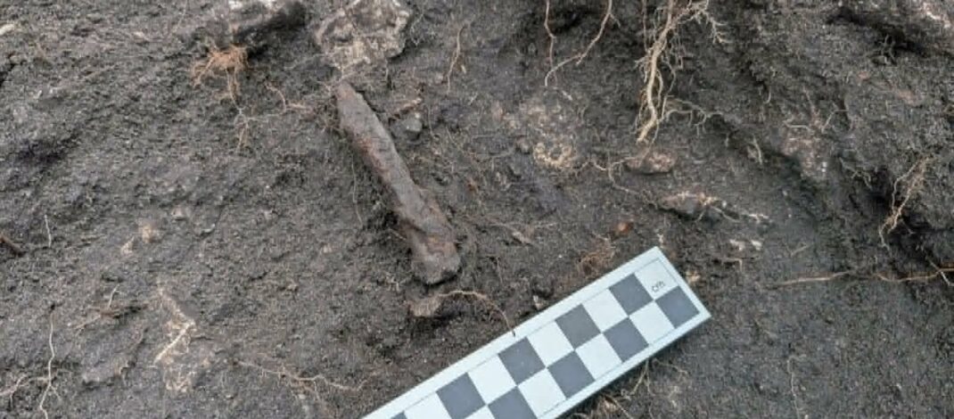 Archeolodzy odkrywają tajemnice Przewodziszowic. Pierwsze takie wykopaliska w historii!