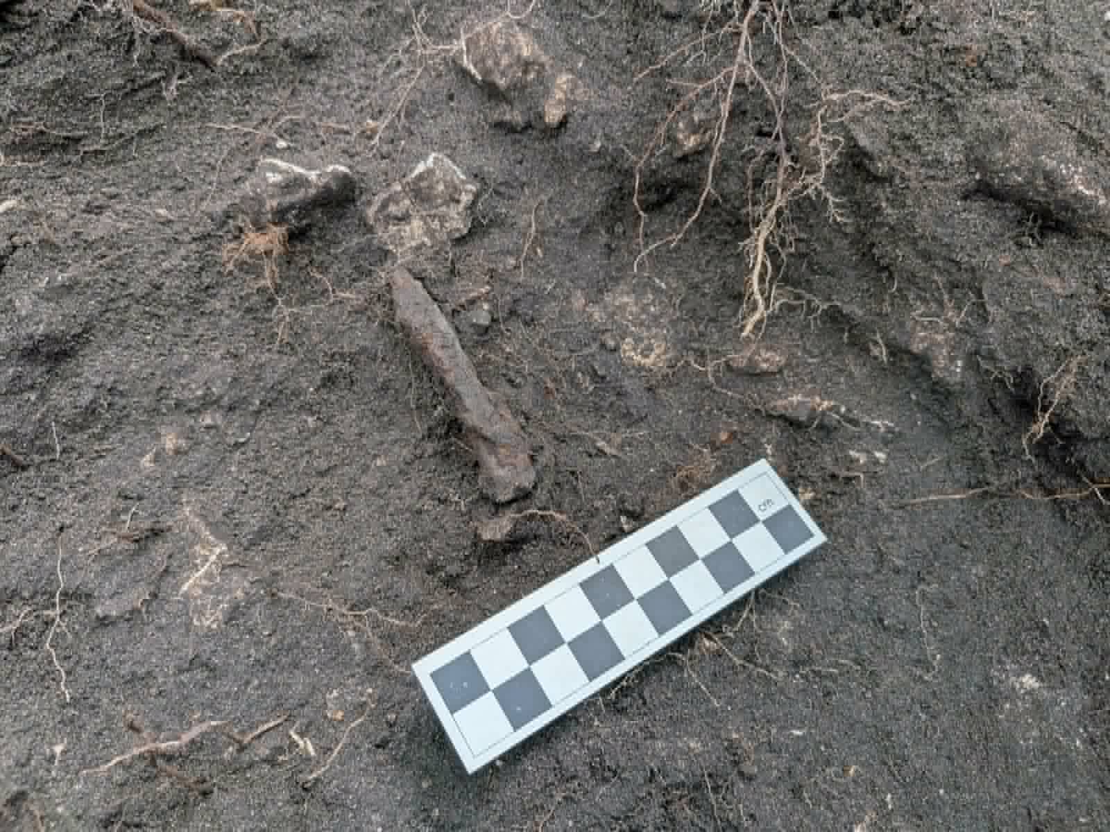 Archeolodzy odkrywają tajemnice Przewodziszowic. Pierwsze takie wykopaliska w historii!