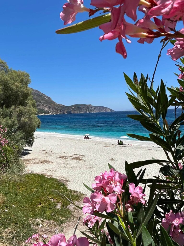 Gotowy biznes w Grecji? Pensjonat z basenem 200 metrów od plaży Korasida 2