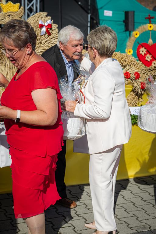 II edycja konkursu „Najpiękniejsza posesja w mieście Żarki” rozstrzygnięta! 14